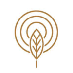 logo Paula